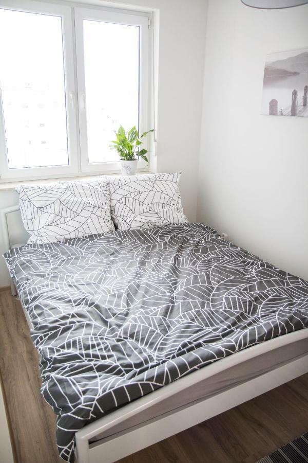 Apartament F&J Stary Toruń Extérieur photo