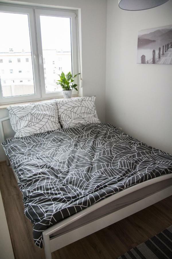 Apartament F&J Stary Toruń Extérieur photo